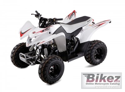 2010 Aeon Cobra 50 photo